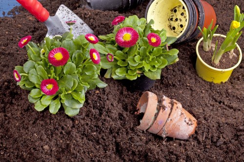 Professional gardening services in Surrey Quays for tidy residential gardens