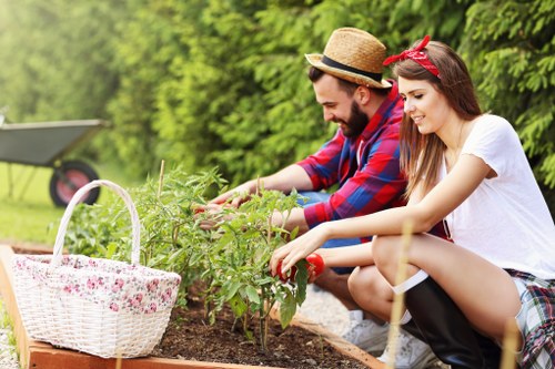 Outdoor gardening safety checks before maintenance work begins