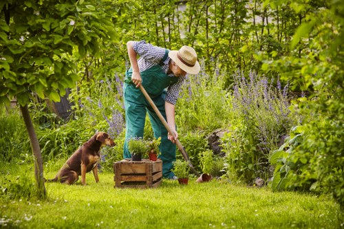 Complaints procedure overview for professional gardening services