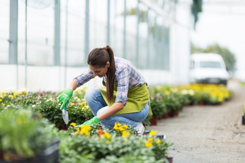 Professional gardeners in Surrey Quays caring for a well-kept urban garden