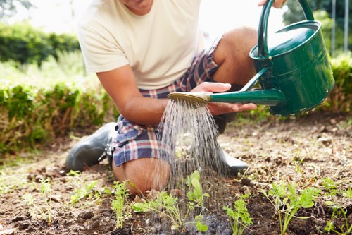 Experienced gardeners in Surrey Quays shaping a neat and balanced garden