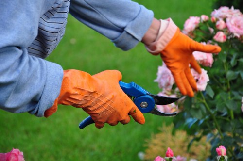 Seasonal lawn mowing work in Surrey Quays