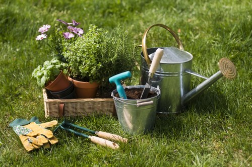 Clean and tidy lawn care result in Surrey Quays