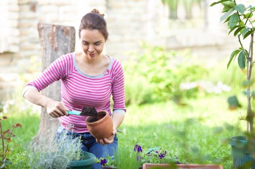 Lawn care and seasonal garden maintenance in Surrey Quays