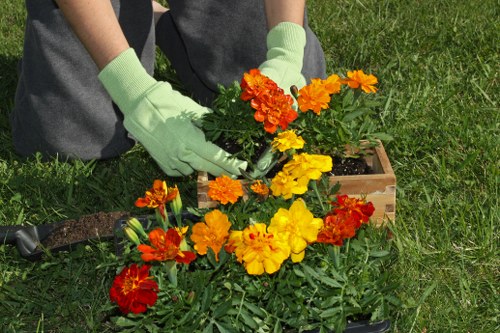 Surrey Quays gardening team maintaining healthy plants and tidy borders