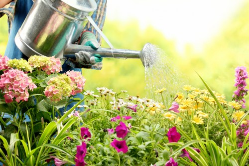 Low-carbon van used for sustainable garden waste collection
