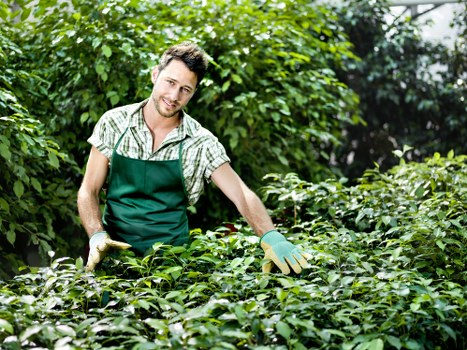 Professional garden clearance preparing an outdoor space in Surrey Quays