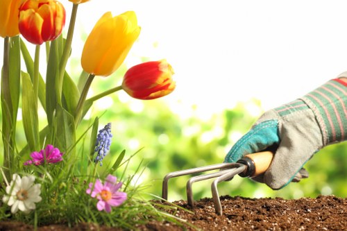 Staff training for safe garden maintenance by Surrey Quays gardeners