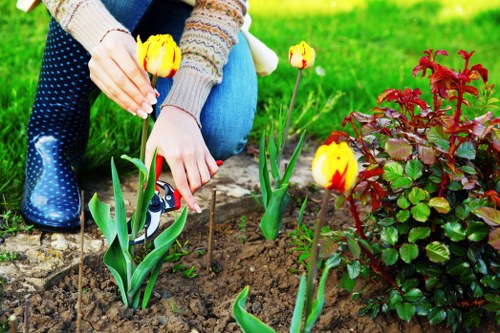 Risk assessment before gardening work in Surrey Quays