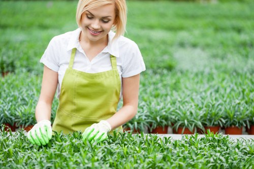 Professional garden maintenance in Surrey Quays with pruning and lawn care