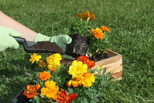 Insured and safety-focused gardeners in Surrey Quays