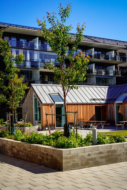 A modern communal courtyard garden adjacent to a contemporary multi-storey building with glass balconies. The garden features a variety of young trees with green and reddish leaves, planted within a r