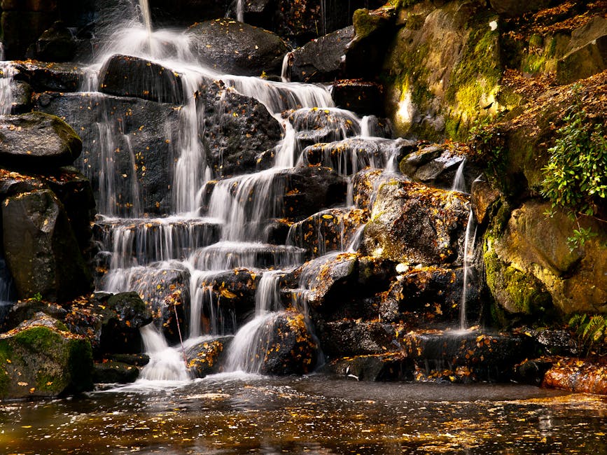 A small garden featuring a layered waterfall cascading over dark, moss-covered rocks with patches of yellow and orange lichen. Surrounding the waterfall are lush green plants and bushes, adding vibran